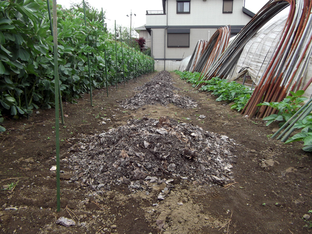 落ち葉の堆肥と発酵鶏糞が主体の土づくり